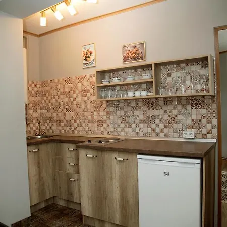 Vintage - Ultracentral, 2 Dormitoare Apartment Sighisoara