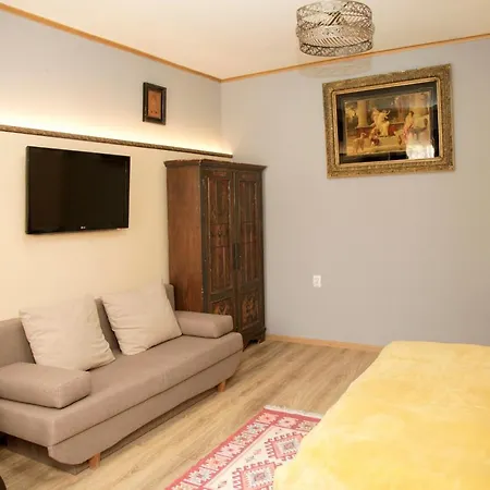 Vintage - Ultracentral, 2 Dormitoare Apartment Sighisoara